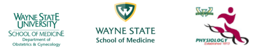 logo.PNG